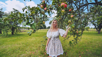 Slavic woman harvesting ripe apples in green orchard on sunny summer day, enjoying fresh air and nature