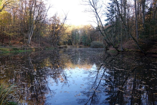 Kleine Aje bei Eppertshausen