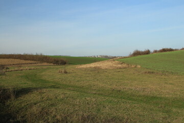 A grassy field with a hill in the background