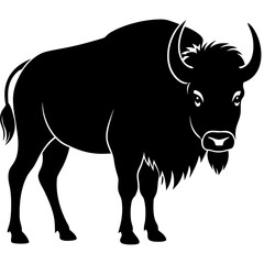 A cute black and white cow and bull vector illustration featuring a cartoon dairy calf and livestock silhouette isolated on white for farm and agriculture art