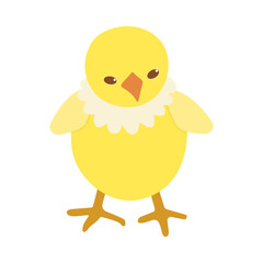 Yellow chick isolated on a white background. Colored icon, vector illustration in a flat style. Poultry.