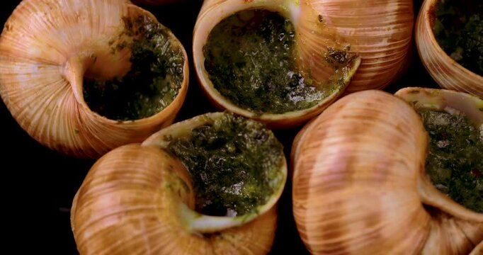 Close-up of traditional escargot in shells rotating on a plate, filled with vibrant green garlic herb butter. Gourmet French cuisine concept with rich texture and elegant presentation. Ideal for food 