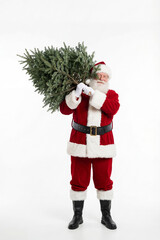 Santa Claus carrying a Christmas tree on his shoulder on white background. Vertical template for Holiday preparation and festive season concept isolated with copy space.