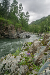 A river runs through a canyon in the mountains	
