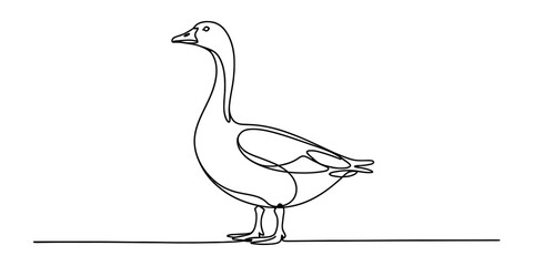 Elegant continuous single line art drawing of a goose in profile view on white background Vector, illustration