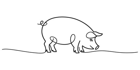 A minimalist continuous line art illustration of a cheerful pig sniffing the ground Vector, illustration