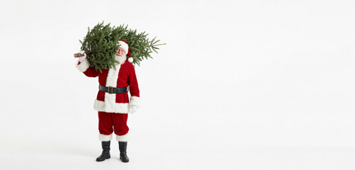 Santa Claus carrying a Christmas tree on his shoulder on white background. Banner template for Holiday preparation and festive season concept isolated with copy space.
