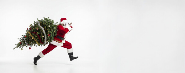 Santa Claus running with a decorated Christmas tree on his shoulder on white background. Banner template for Holiday delivery and festive rush concept winter celebration with copy space.