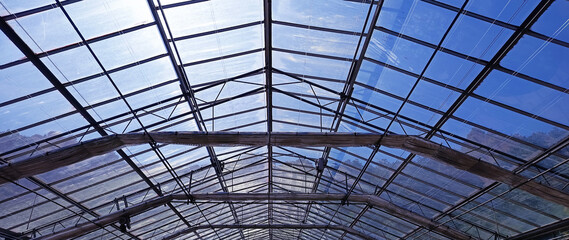 Fragment of an office building made of glass. Modern office building wall made of steel and glass on blue sky, Agriculture glasshouse for growing plants. not ai