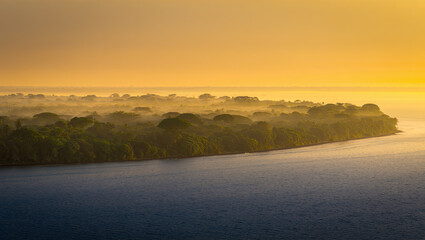 Sunrise over the river and misty forest creating a natural landscape in the morning hours