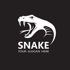 illustration of white snake head isolated on black background