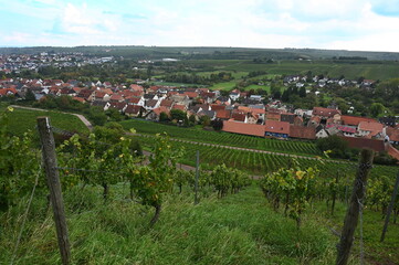 Schwabsburg in Rheinhessen
