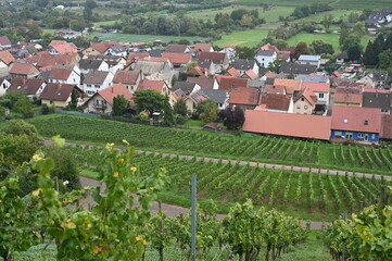 Schwabsburg in Rheinhessen