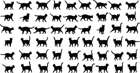 Collection of Black Cat Silhouettes in Various Poses and Actions on White Background animal feline