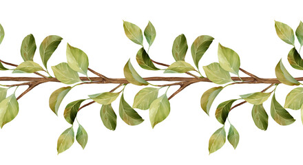 Hand-drawn illustration of a seamless horizontal border with elegant green leaves on a thin branch