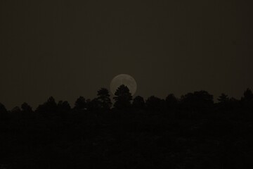 Obraz premium Esta fotografía nocturna captura la luna llena asomando tras la silueta de un bosque. Es una composición minimalista en blanco y negro que evoca misterio, soledad y la belleza de la naturaleza salvaje
