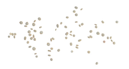 Closeup raw quinoa seeds flying, isolated on white background, clipping path, macro