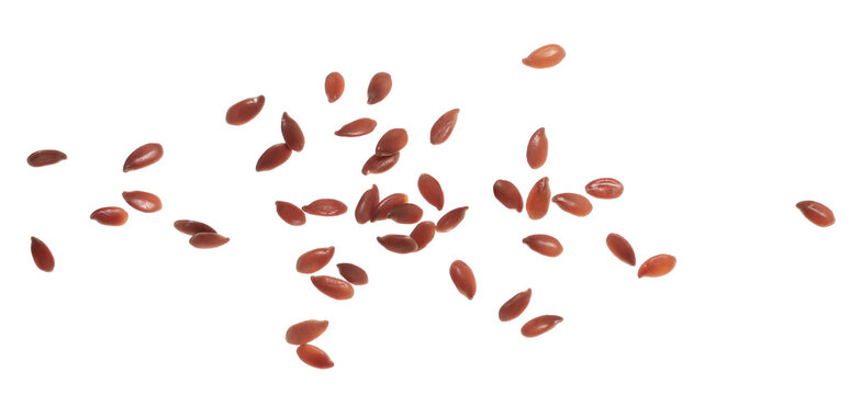 Flaxseed flying, linseed isolated on white background, clipping path, macro