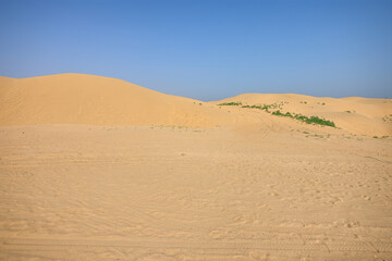 Fototapeta premium Expansive Desert Dunes Under Clear Blue Sky