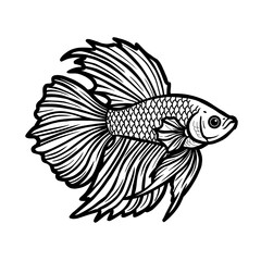 fish vector illustration