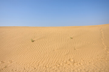 Naklejka premium Vast Desert Landscape with Sand Dunes