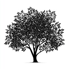 Obraz premium Silhouette Tree of Life: A dramatic black and white silhouette of a lush, leafy tree against the light. Evoking feelings of strength, resilience, and the interconnectedness of nature.