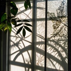 tree shadow in the white wall