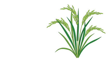 Fototapeta premium Illustration of vibrant green rice plants with developing grains, showcasing agricultural growth and natural beauty in a simple design.