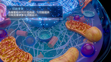 中文细胞骨架与微管和细丝的 3D 插图