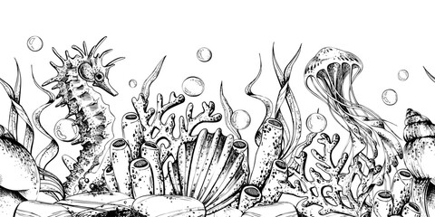 Underwater seascape with seahorse, jellyfish, shells and coral. Hand drawn line art illustration of marine life for nautical design. Seamless border pattern outline graphic illustration © NATASHA-CHU