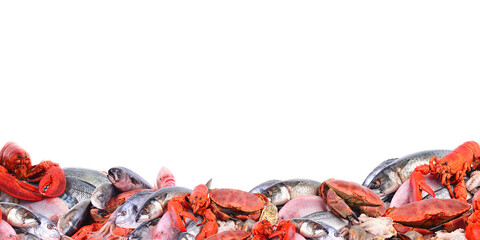 Fresh seafood isolated