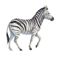 Obraz premium Watercolor zebra, soft black and grey stripes, gentle brushwork, clean transparent PNG background