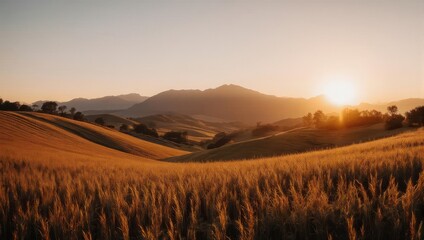 Golden Hour Over Rolling Hills - A Scenic Landscape.