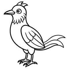 vector illustration of a bird