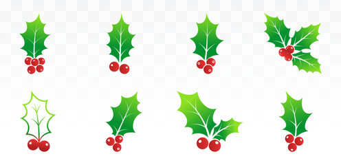 Green Holly Leaves and Red Berries Festive Nature Graphics