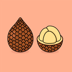 Cutaway Snake Fruit (Salak) Exploded Sectional View of Layered Anatomy