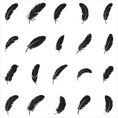 Fototapeta premium Feathers Silhouette Clip Ar