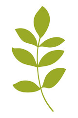 Abstract leaves illustration element