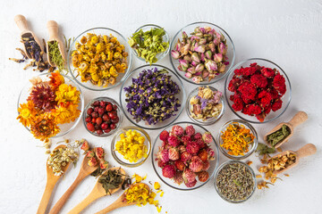 Assortment of dry herbal tea concept. Medicinal herbs healing herbs and alternative medicine.