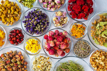 Assortment of dry herbal tea concept. Medicinal herbs healing herbs and alternative medicine.