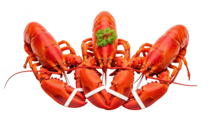 Five Cooked Red Lobsters Arranged in a Circle with Parsley Garnish seafood cooked lobster isolated on a transparent background