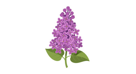 Obraz premium Delicate vector illustration showcasing the beauty of a blooming lilac flower
