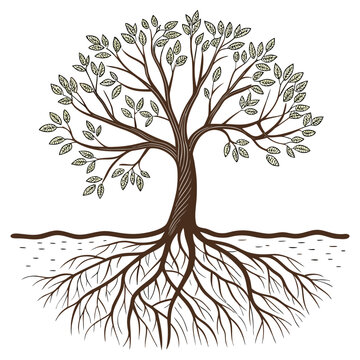 Illustrated tree with roots