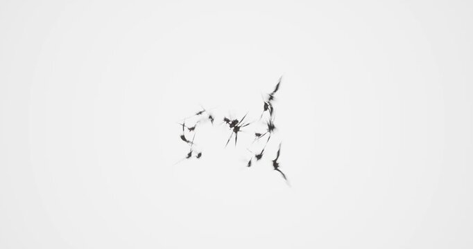bats swarm effect on white background