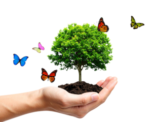 Untitled design -  Hand Holding Green Earth with Tree, Butterflies, and Rainbow, Environmental Protection Concept, PNG (3)