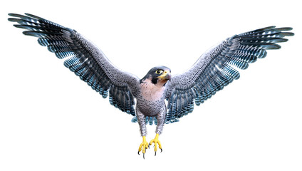 3D Rendering Falcon Bird on White