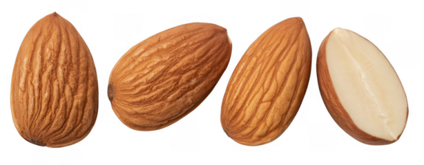 Four almonds nuts brown isolated on a transparent background