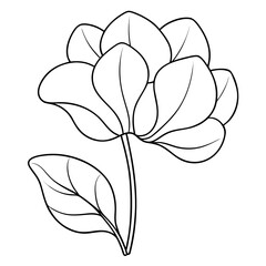 cyclamen line art flower vector on white