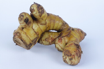 Fresh galangal roots isolated on white background