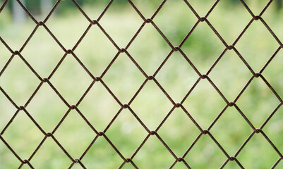 Naklejka premium Old wired mesh fence for web design and architect, Green garden behind wire mesh fence that is linked together. Close up.